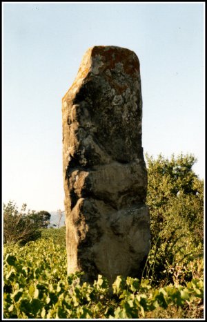 Menhir de Saissac (Aude).jpg
