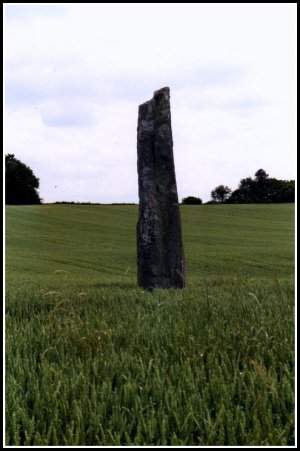 Menhir de St Geoges les sept voies (Maine et Loire).jpg