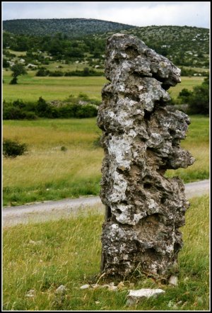 Menhir de Avenat (Larzac)..jpg