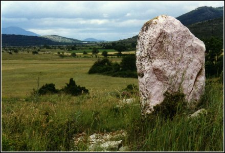 Menhir en marbre rose de la plaine du Goulet (Larzac).jpg