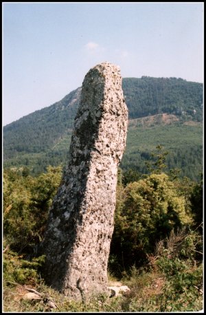 Menhir à Arques (Aude).jpg