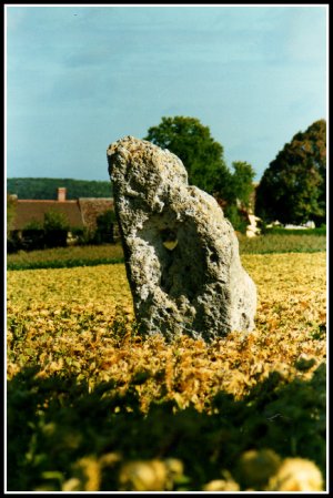 Menhir à Ste Maure de Touraine (Indre et Loire).jpg