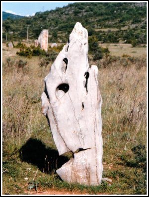 Cromlech sur le Larzac (détail des pierres levées).jpg