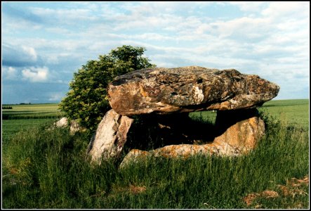 dolmen de Vatan (Indre).jpg