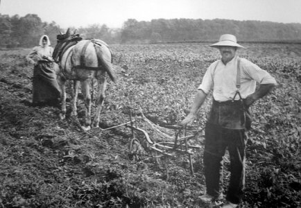 le-travail-des-champs-en-1900.jpg