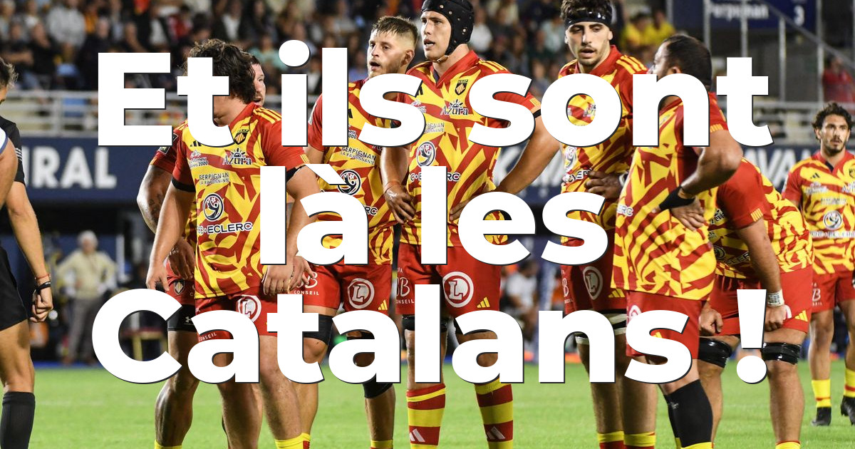 Écharpe Supporter Dragons Catalans ISC Double Face - Rugby Perpignan