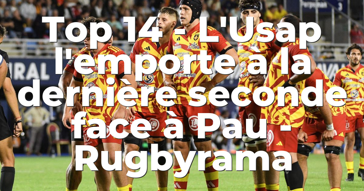 Short Rugby Enfant Replica Extérieur USAP Perpignan 2024/2025 - Adidas