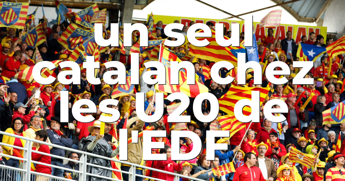 Lot De 2 écharpes Supporter USAP Perpignan - Rugby Catalan